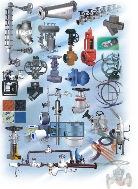 Complete Valve & Fittings Range